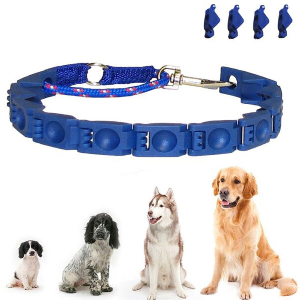 طوق الكلاب التعليمي Command collar - Image 4