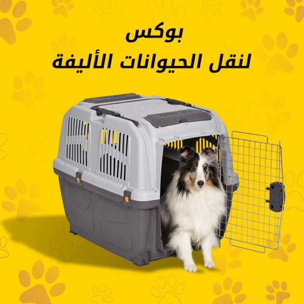 بوكس نقل الحيوانات الأليفة - Image 3
